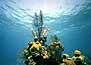 Cayo Largo:  Paradise of the Caribbean tour.